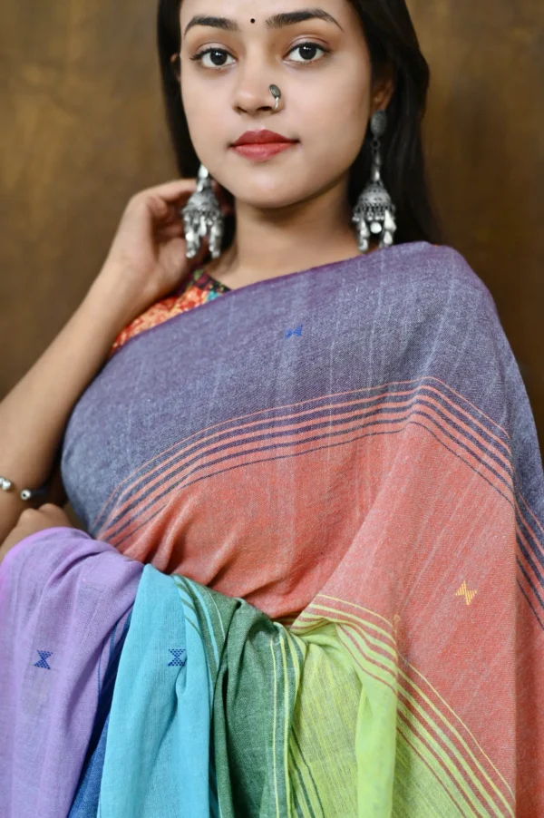 Kala Cotton Multi Colour Bhujodi Saree - Image 4